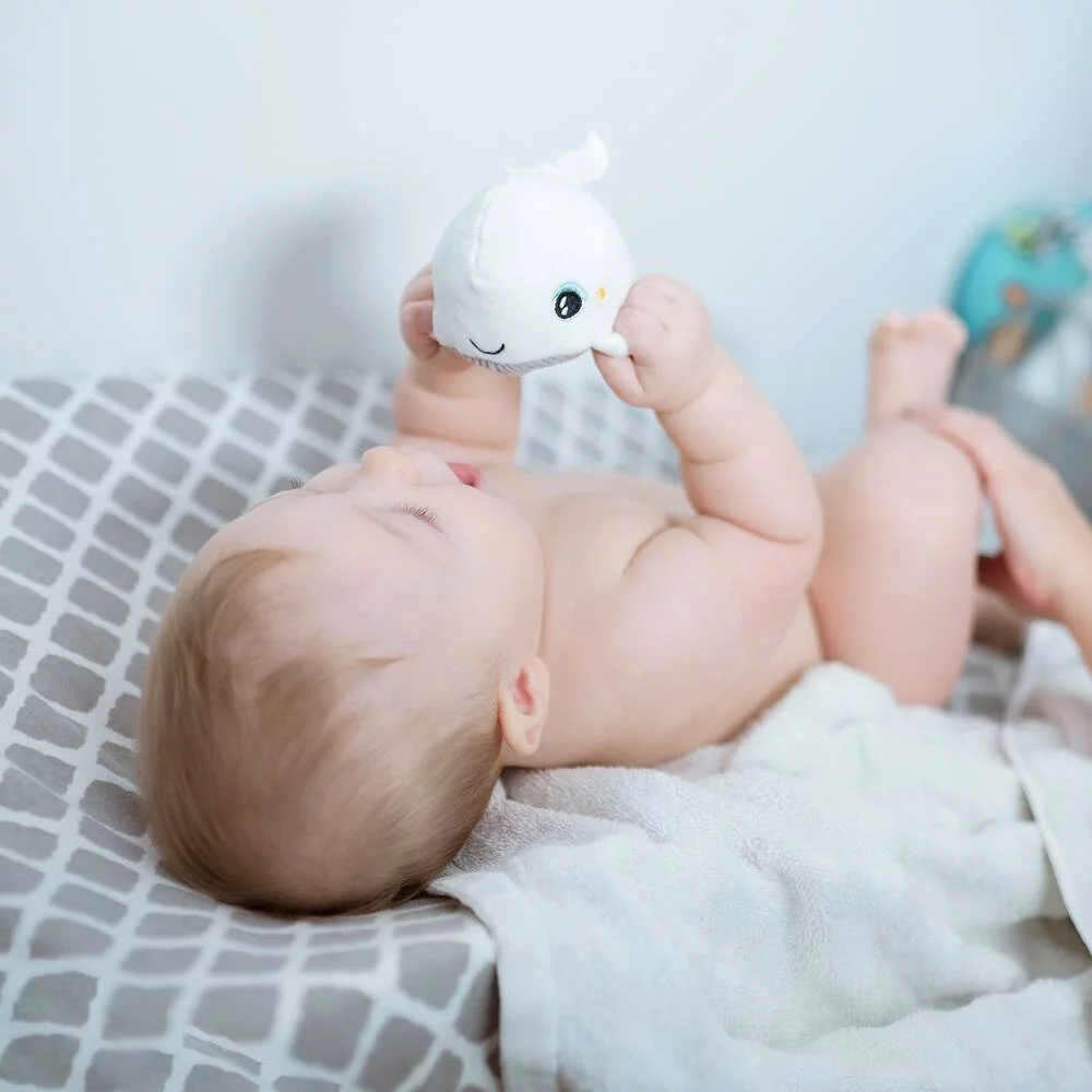 PELUCHE LUMINEUSE SHAKIES BALEINE MINI VEILLEUSE