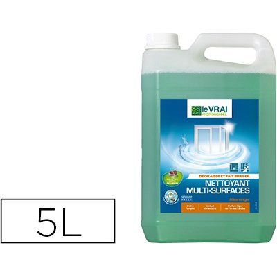 Nettoyant le vrai professionnel multi-surfaces dégraissant brillance bidon 5l