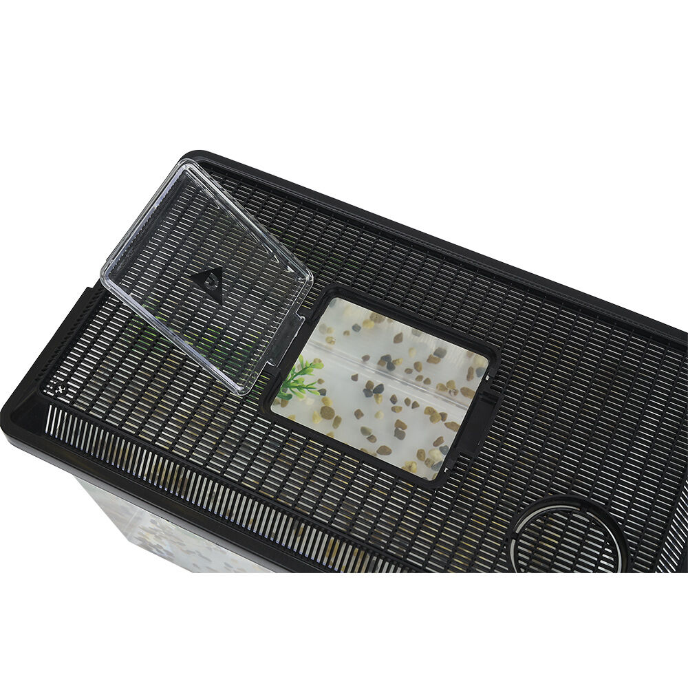 Kit aquarium vivarium avec gravier et plante L37x22xH24cm