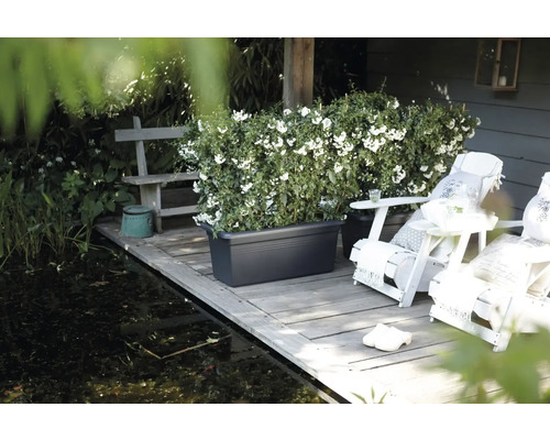 elho Green Basics XXL plantenbak, kunststof, 60x30x28 cm, zwart