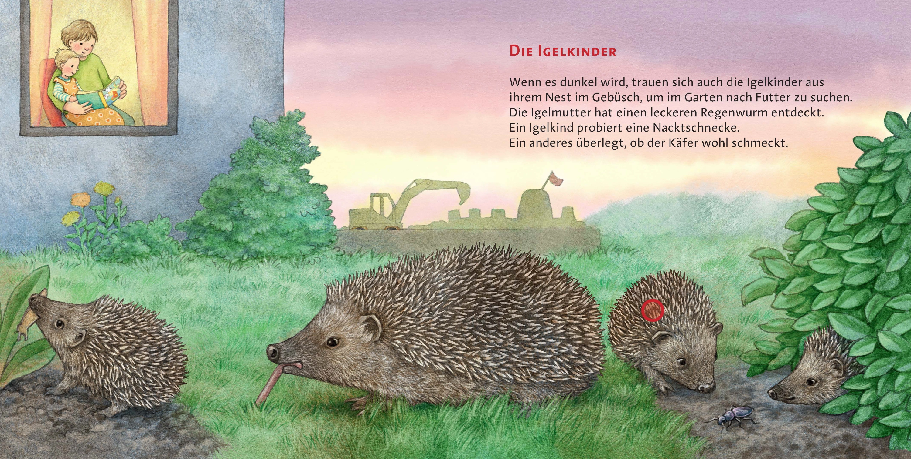 Die Tierkinder / Hör mal Bd.11