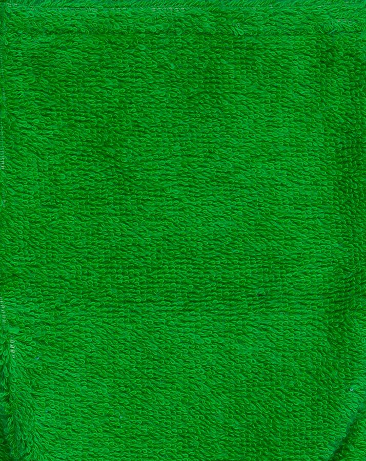 Spiel-Waschhandschuh RAUPE NIMMERSATT in grün/rot