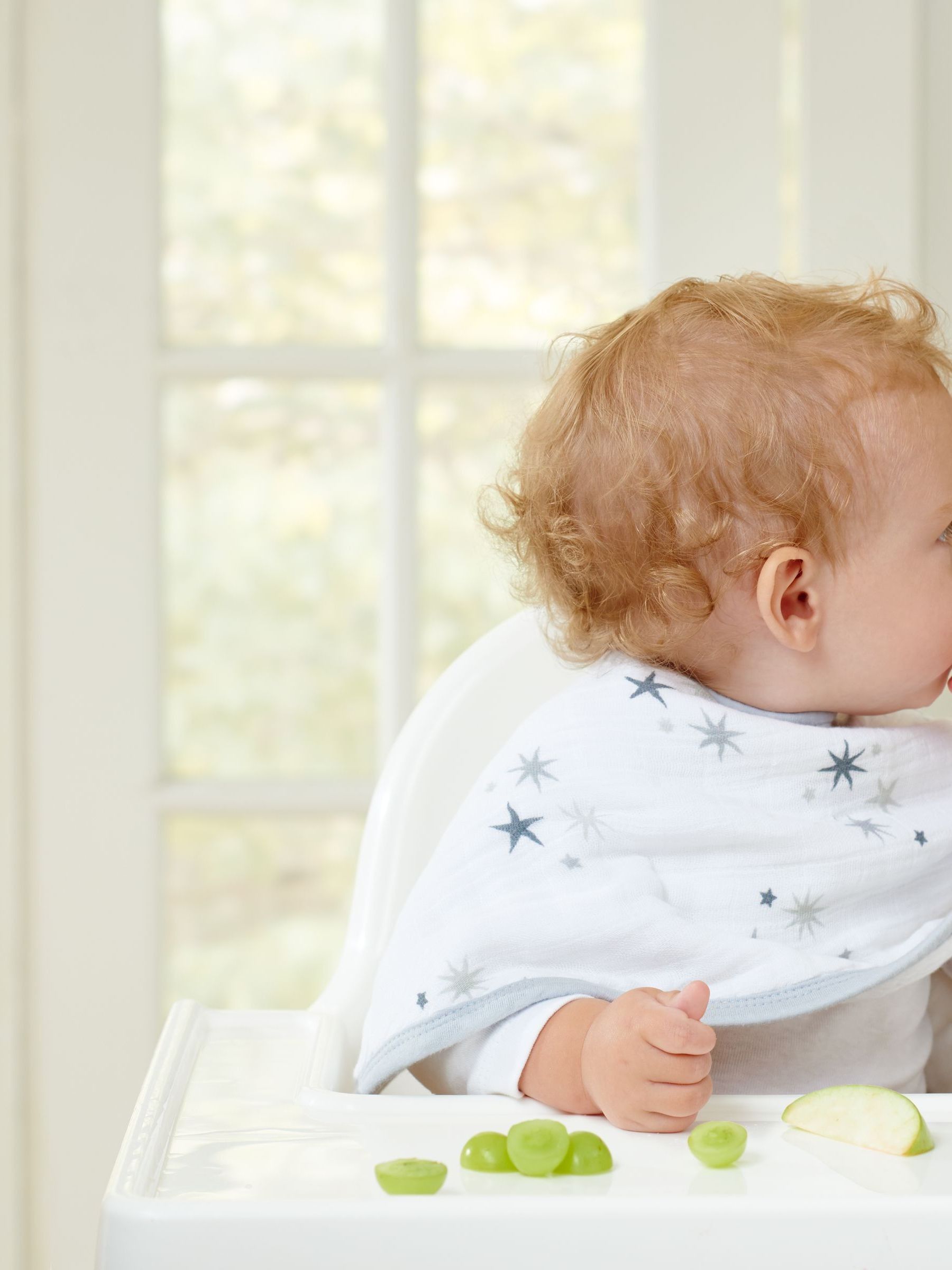 aden + anais Burpy mousseline Twinkle 100% katoenen slabbetjes 2 stuks