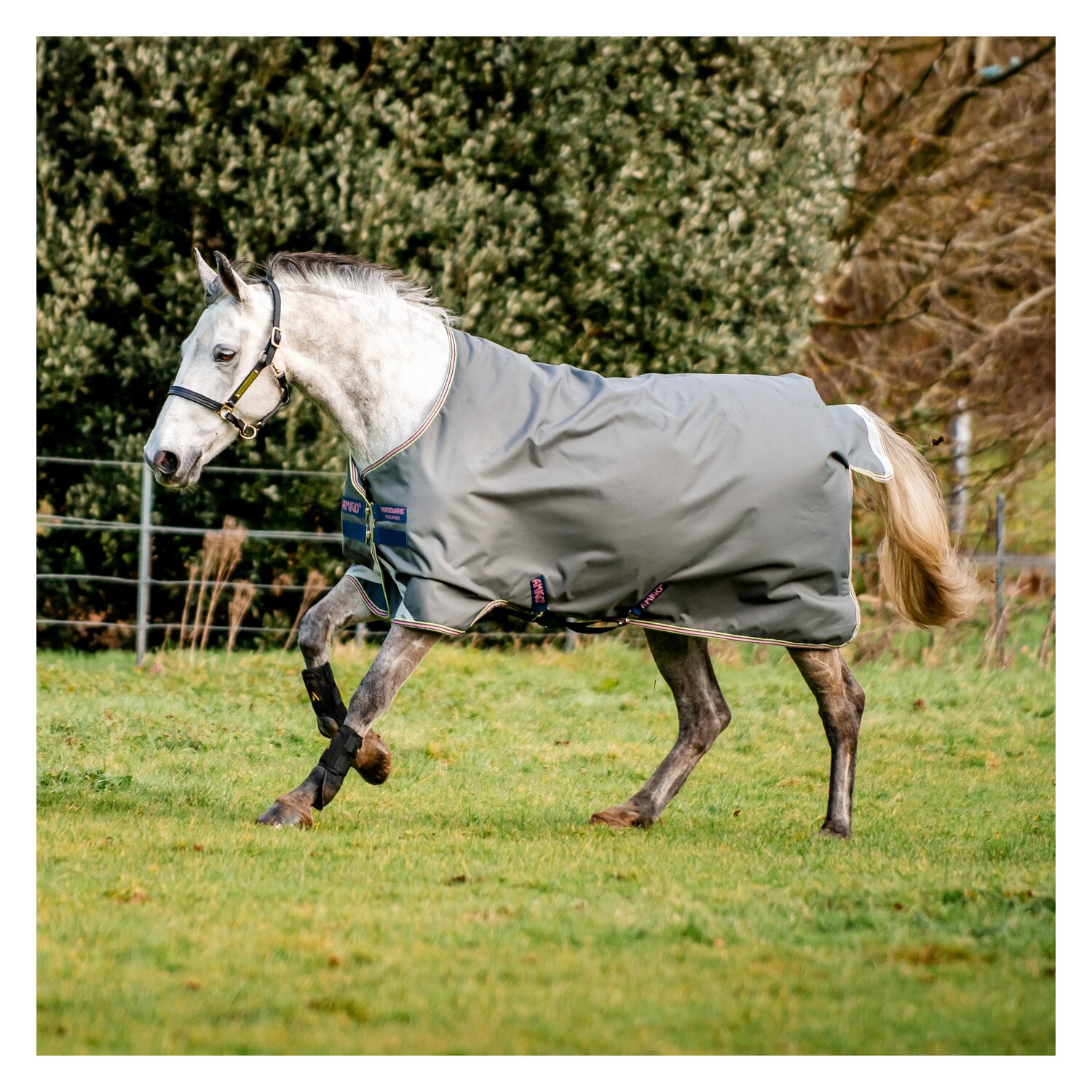 Horseware Outdoordecke AMIGO Hero Ripstop Lite - shodow / rose & navy
