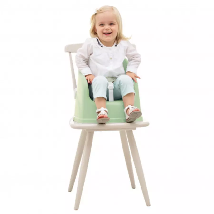 Thermobaby® Hochstuhl Youpla 2-in-1, green Celadon