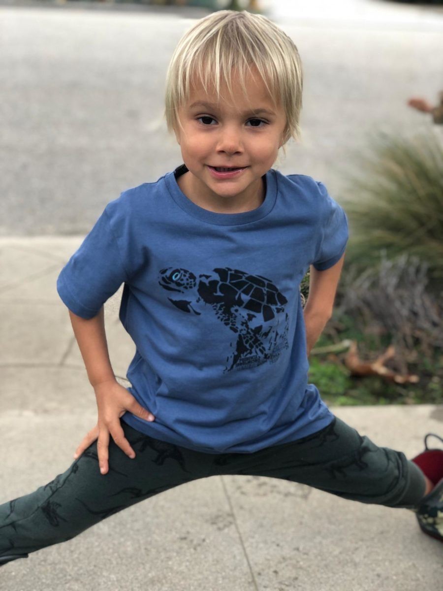 Camiseta com estampa de totem animal para meninos/meninas, tartaruga azul