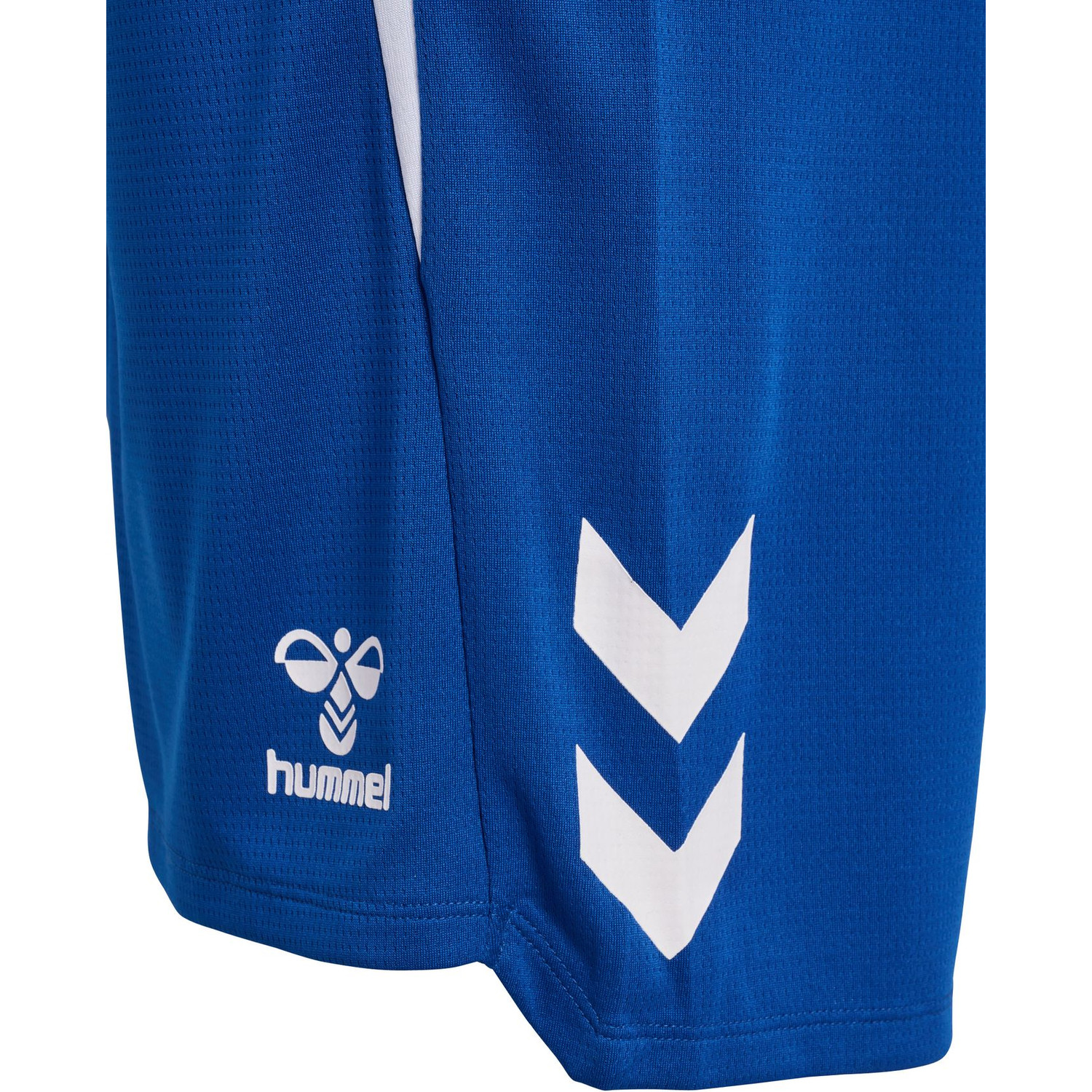 Hummel Lead 2.0 Shorts Heren