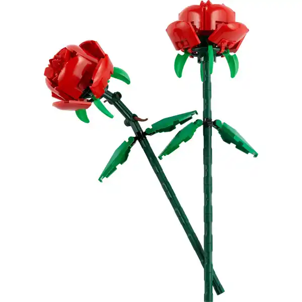 40460 Rosen