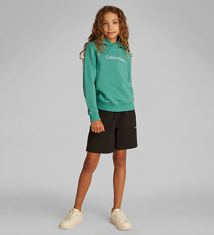 Calvin Klein Kapuzenpullover - Inst. Logo - Bahama Green
