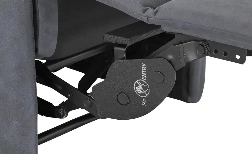 TV-Sessel Baerbel