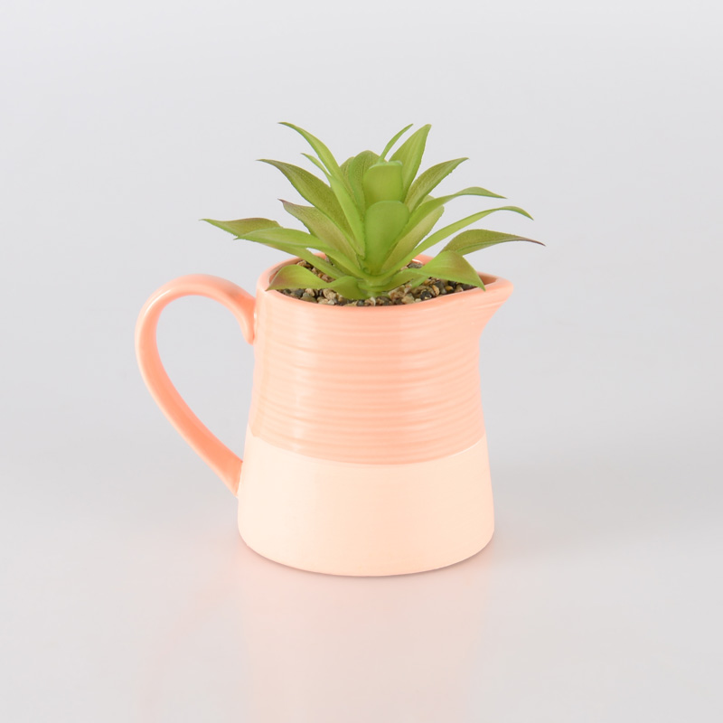 Carafe en céramique avec succulente