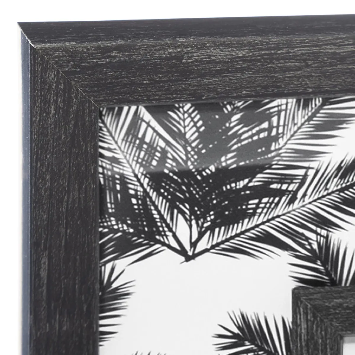 Atmosphera, Createur D'Interieur Atmosphera Pêle-mêle Palmier - Noir et blanc
