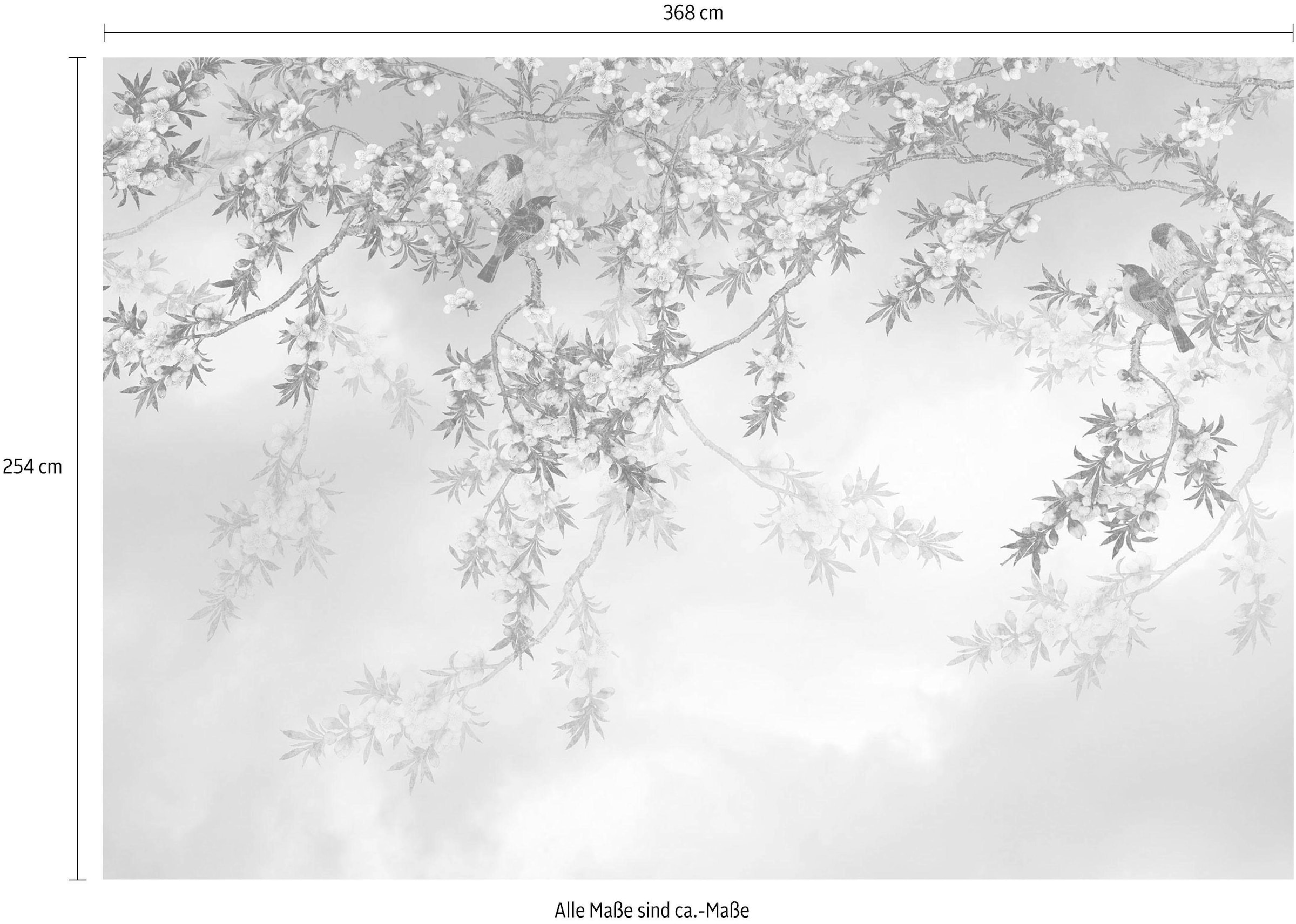 Komar Fototapete »Sakura - Grösse 368 x 254 cm« bedruckt glatt Wohnzimmer, Schlafzimmer