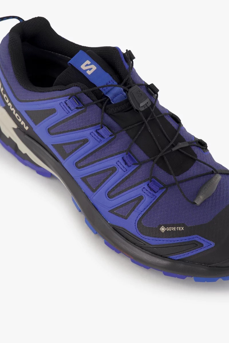 Salomon XA Pro 3D V9 Gore-Tex® Herren Trekkingschuh