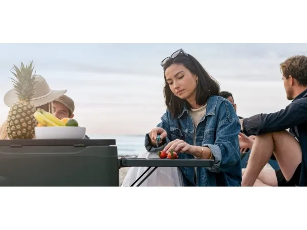 Anker EverFrost Powered Cooler 30 - Transportabelt køleskab - udendørs - bredde: 74.2 cm - dybde: 46.4 cm - højde: 48.9 cm - 33 liter - Klasse F