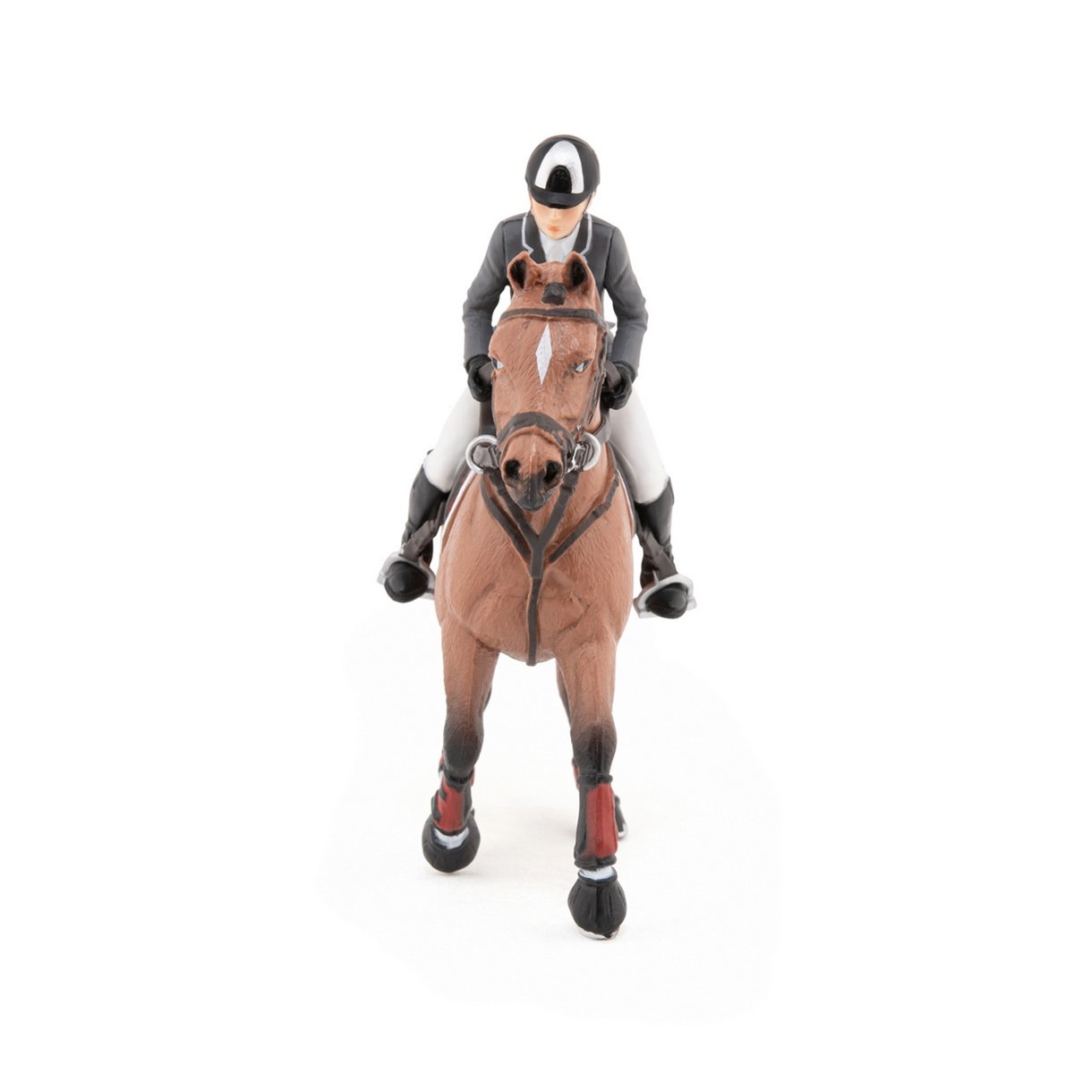 Cheval de concours et son cavalier