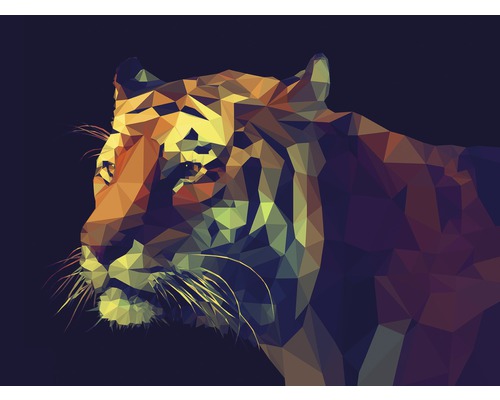 Canvas print Kleurrijke Tijger 84x116 cm