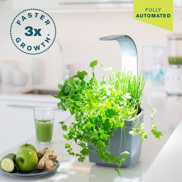 Tregren Kitchen Garden T3 Grå