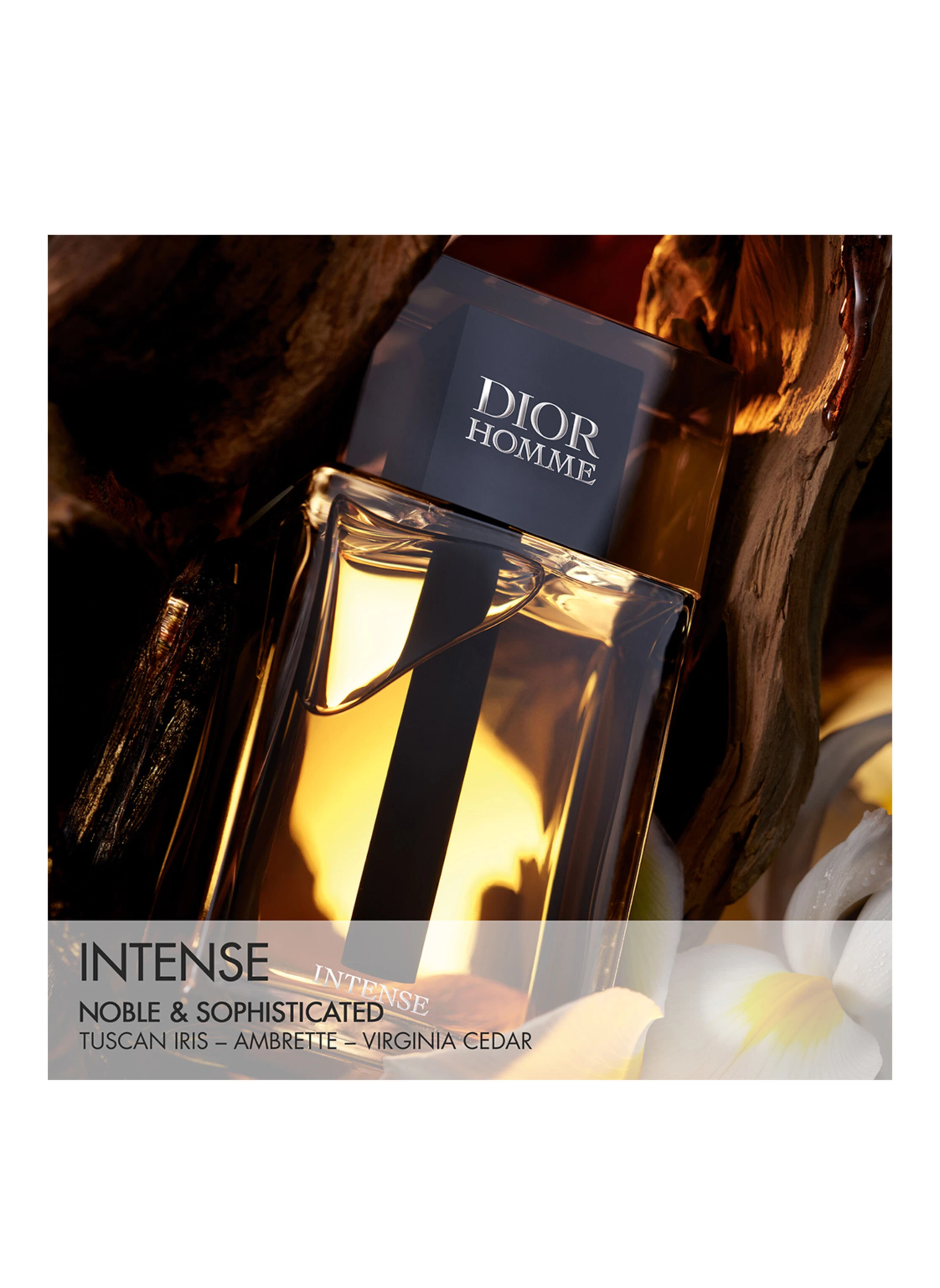 DIOR DIOR HOMME INTENSE
