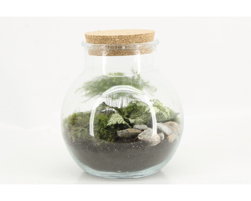 DIY flessentuinset, complete set, rond, middel, H 30 cm, Ø 20 cm