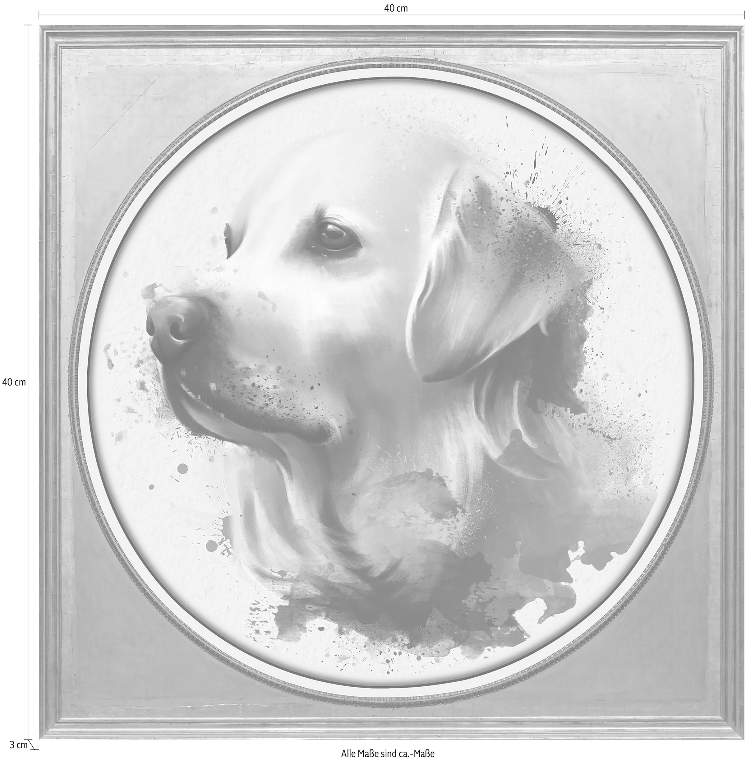 queence Acrylglasbild »Golden Retriever« Gemälde | Haustiere | Hund | Hunde | Hundebilder | Kunst | Tiere Fine Art-Print in Galeriequalität