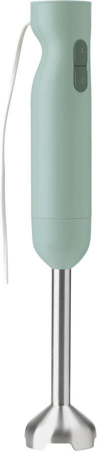RIG TIG Foodie Stavblender Light green