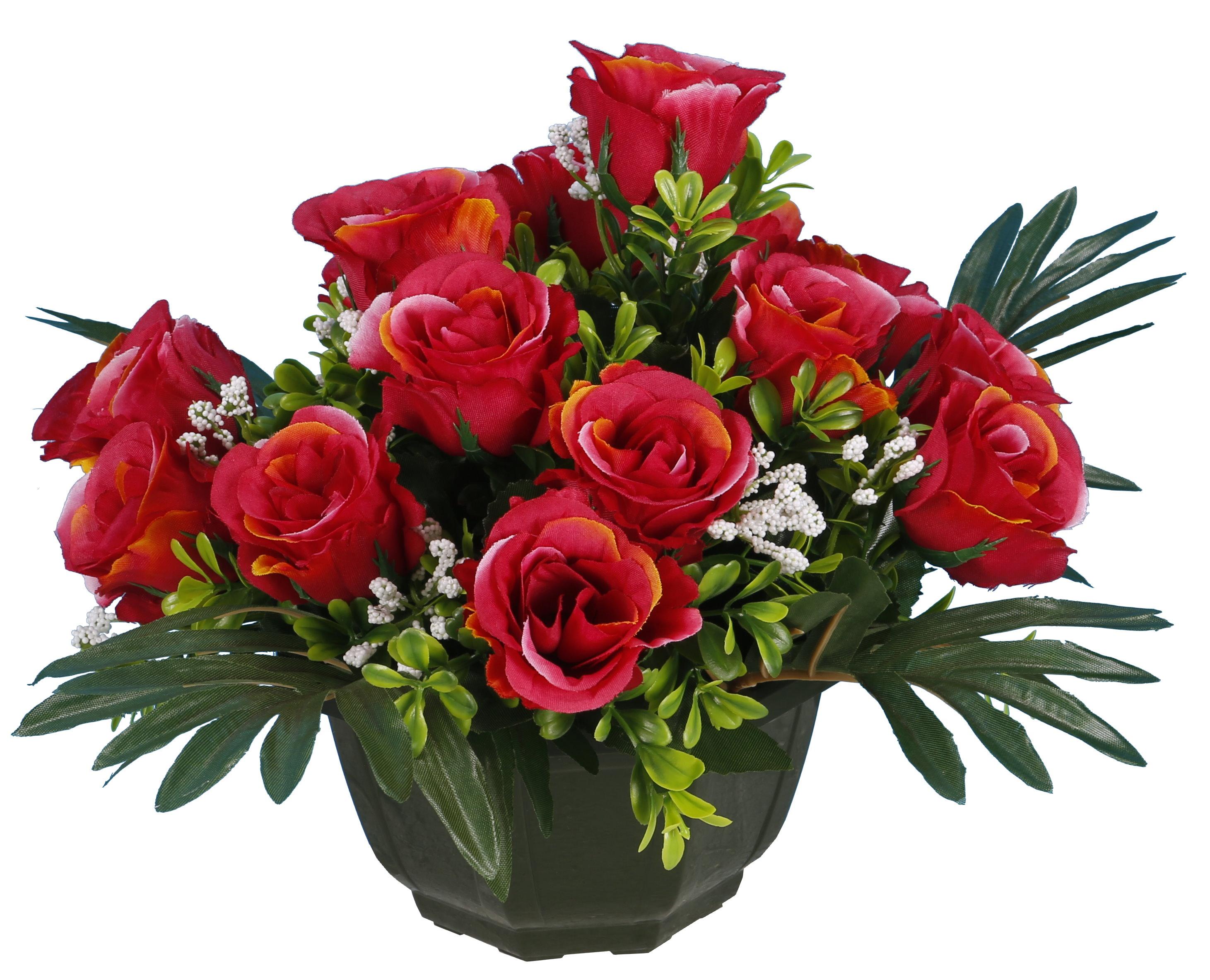 COUPE ROSETTES