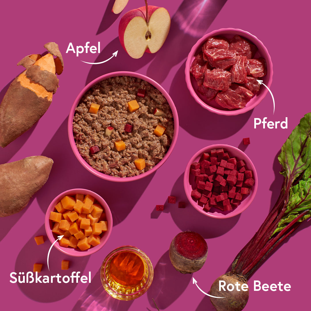 Pferd mit Süßkartoffeln