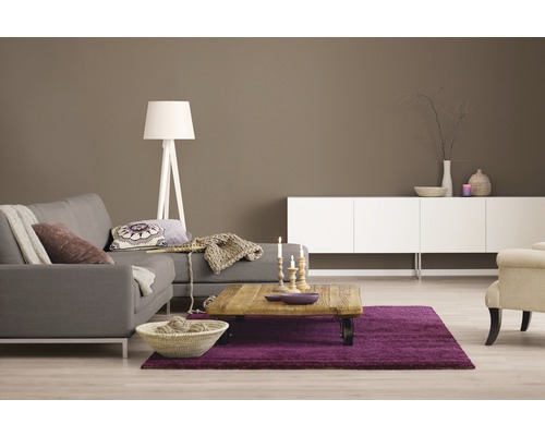 Alpina muurverf kleur recepten Gentle Earth 2.5 l