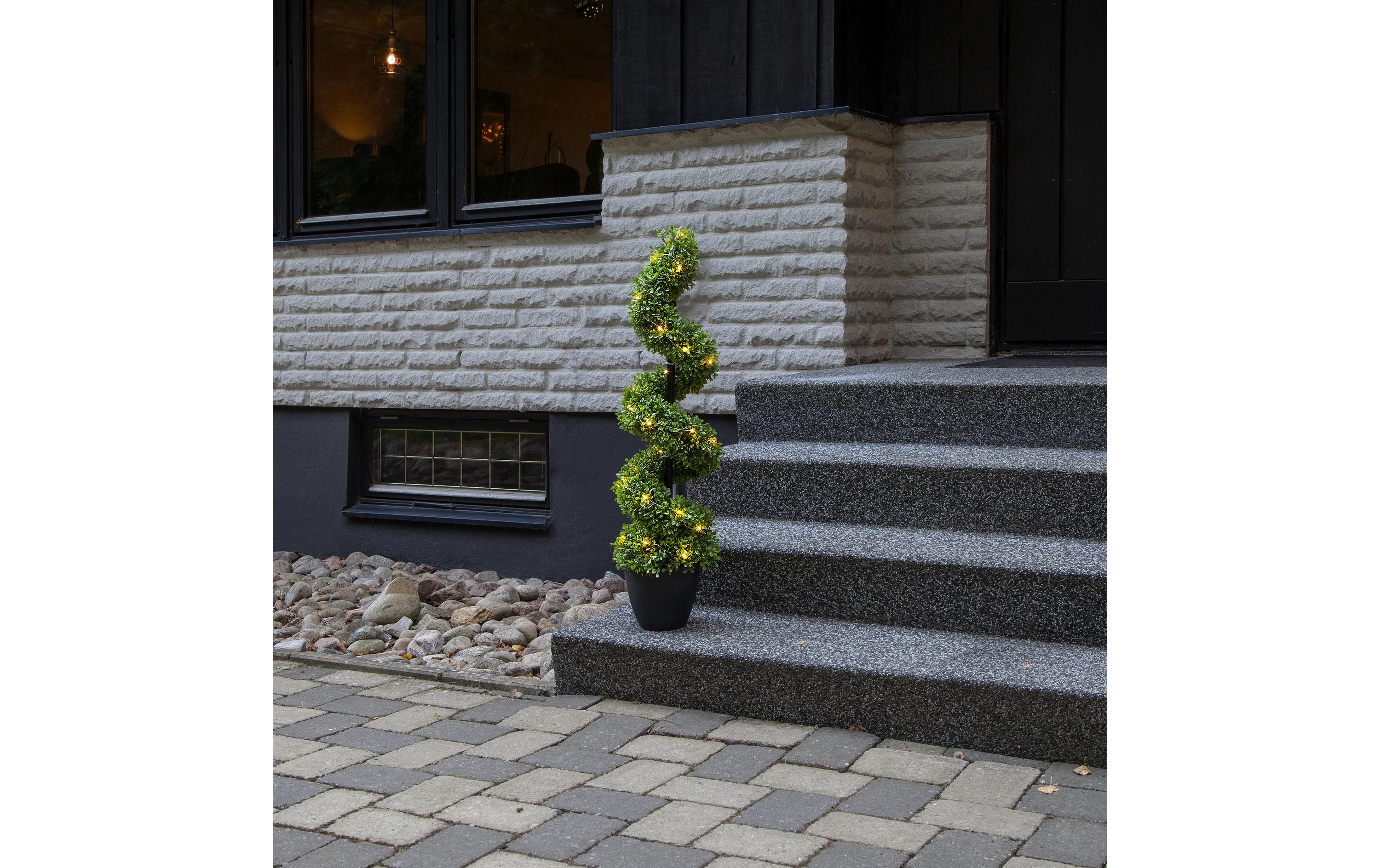 Baum Buxbom, 0.9 m, Grün, 30 LEDLED Leuchtbaum