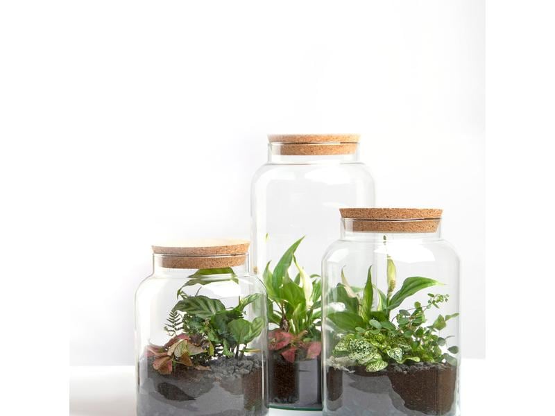 Esschert Design Terrarium-Flasche S, 18.5 x 26.3 cm Pflanzen-Terrarium Flasche