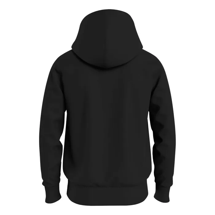 Tommy Hilfiger Arched Varsity Hoodie Heren