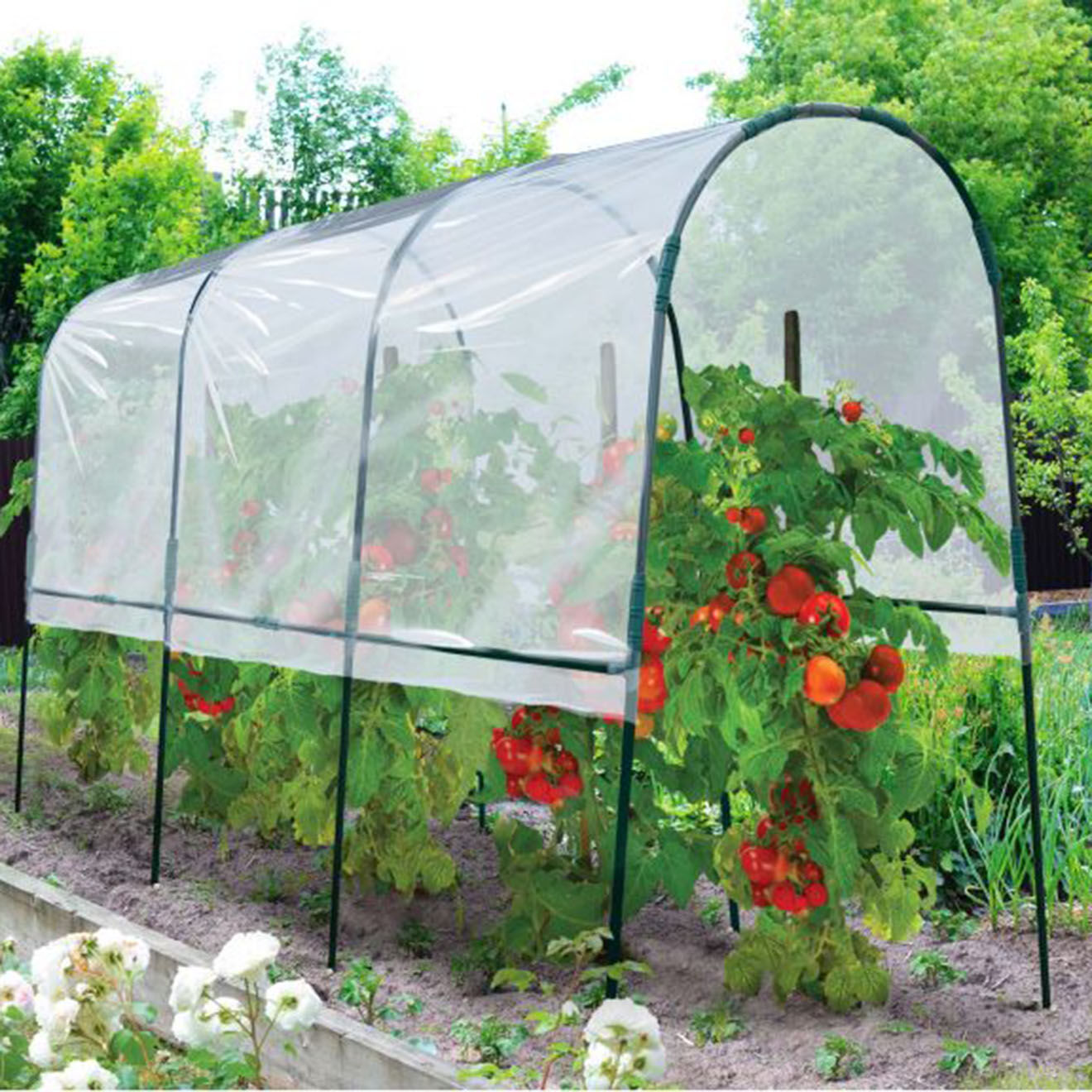 Pratik Garden Serre tomates vert/transparent - 200-400x120x170 cm