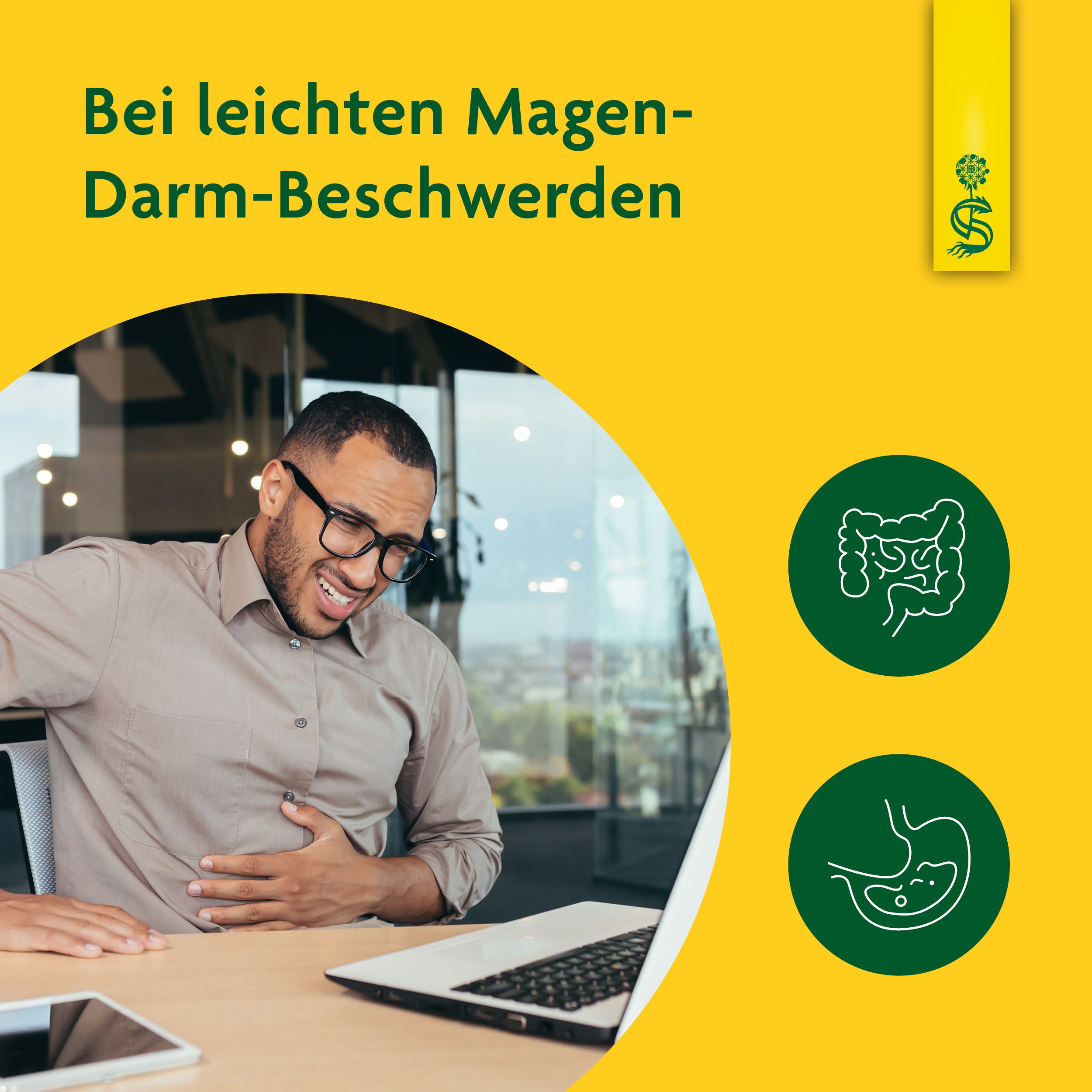 Schoenenberger® Heilpflanzensaft Löwenzahn