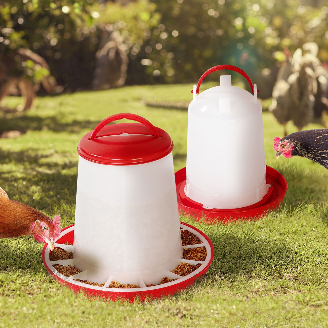 Pratik Garden Abreuvoir + Distributeur Poules - Cl rouge/blanc