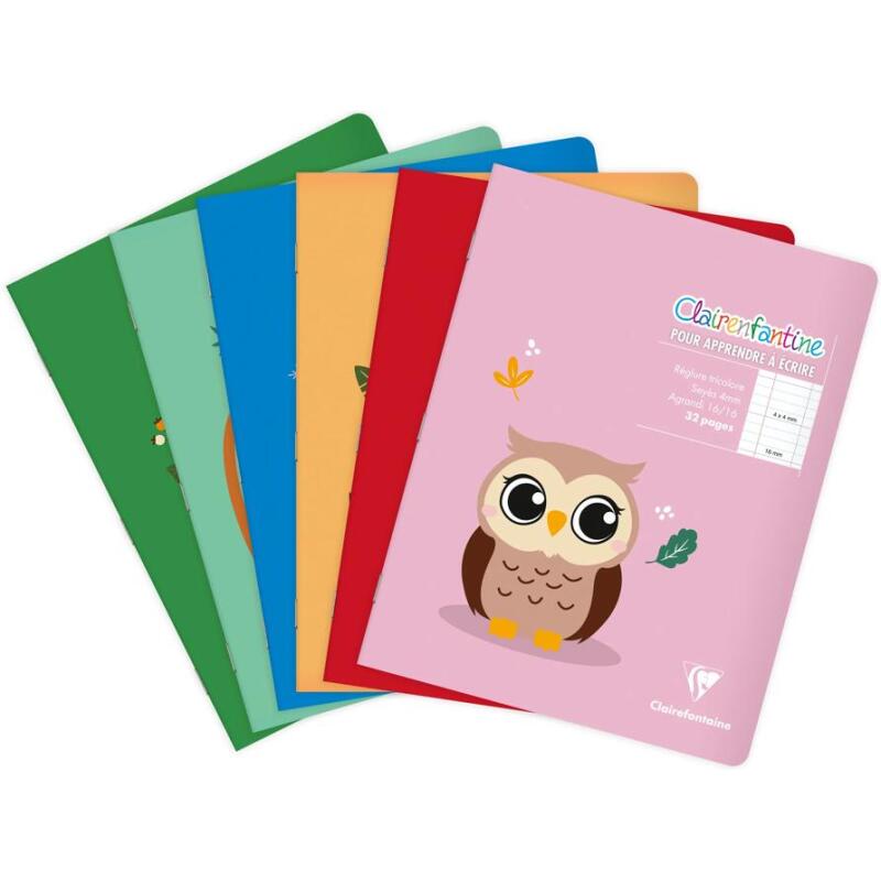 Cahier piqué 17x22 cm 32 pages grands carreaux 4 mm agrandis 16/16 mm - Assortis