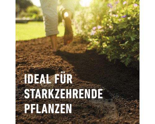 COMPO 50 L potgrond voor balkon- en containerplanten