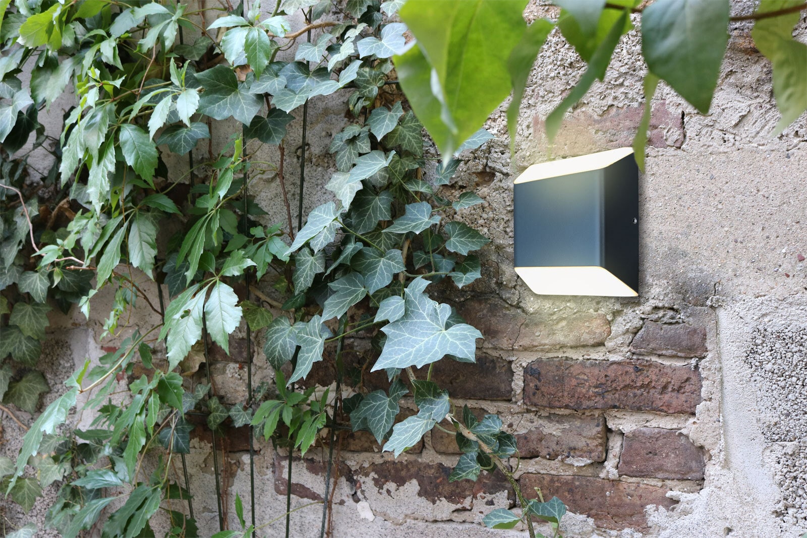 ECO-LIGHT LED Außenwandleuchte FLOYD anthrazit