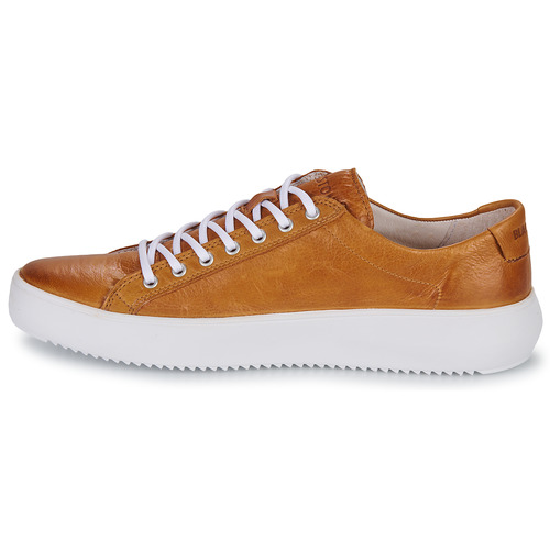 Blackstone - ZG18 - Camel