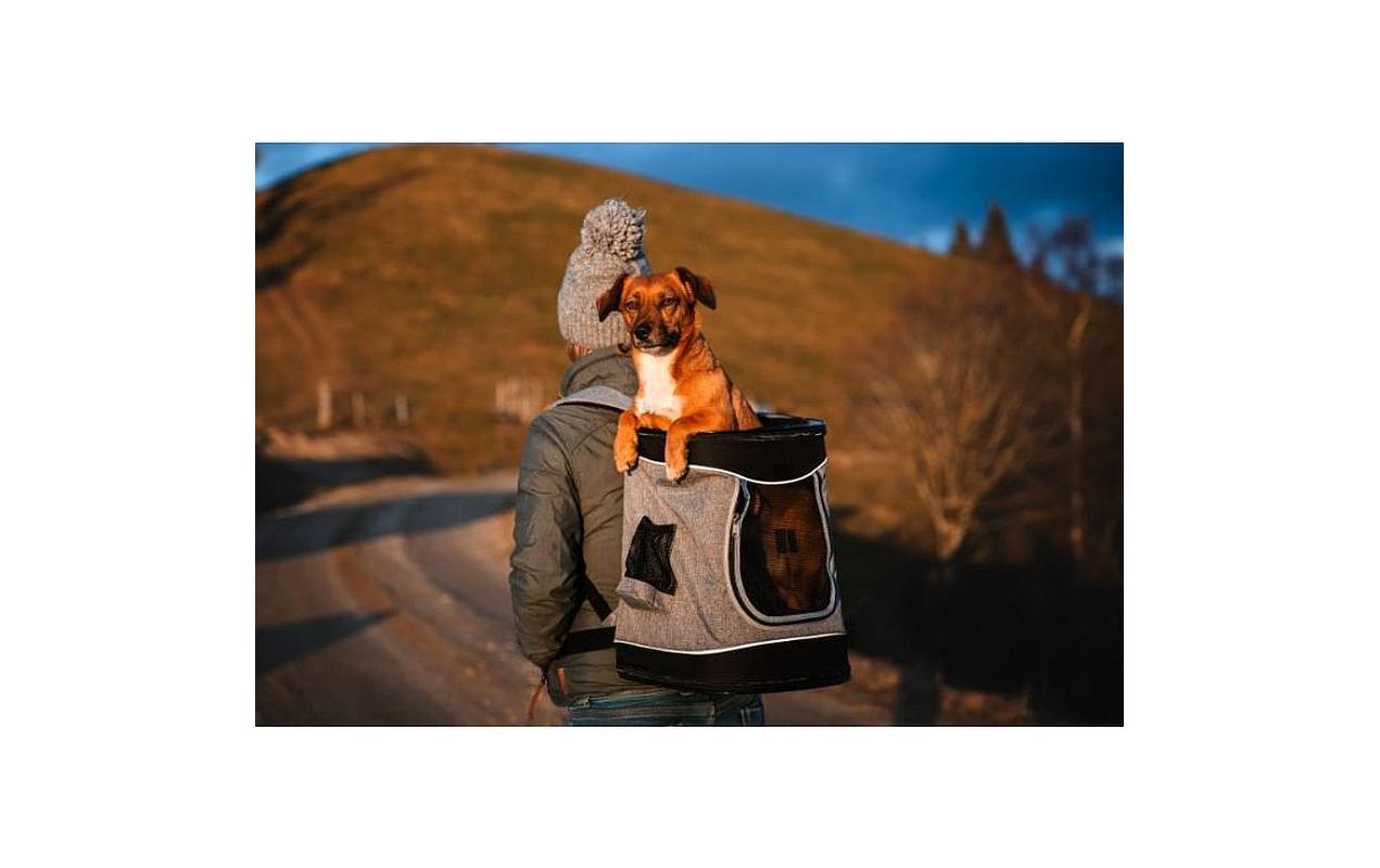Tiertransport-Rucksack Leon, 34 x 44 x 30 cm, GrauHunderucksack