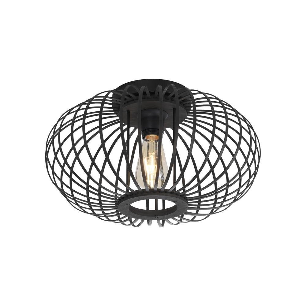 Racoon plafondlamp in zwart E27