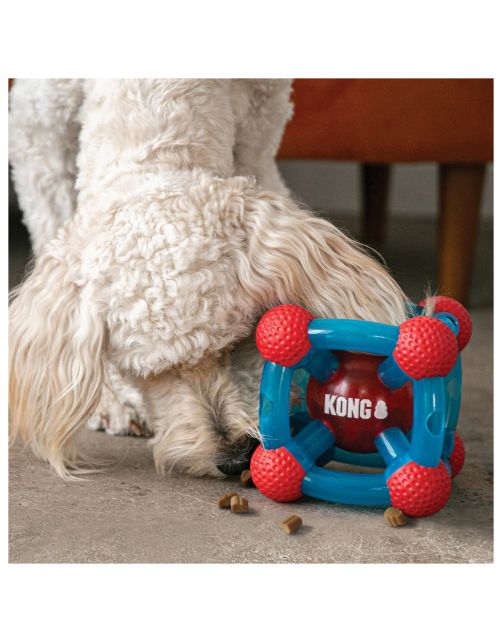 Kong Rewards Tinker - Hondenspeelgoed - Blauw Rood Medium\/Large