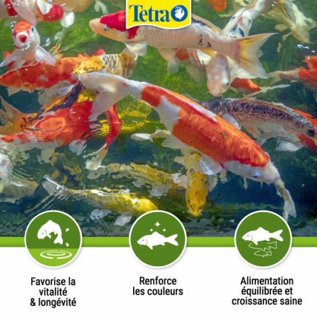 Alimentation Tetra Pond KOI Mini Sticks 1 litre pour poissons de bassin