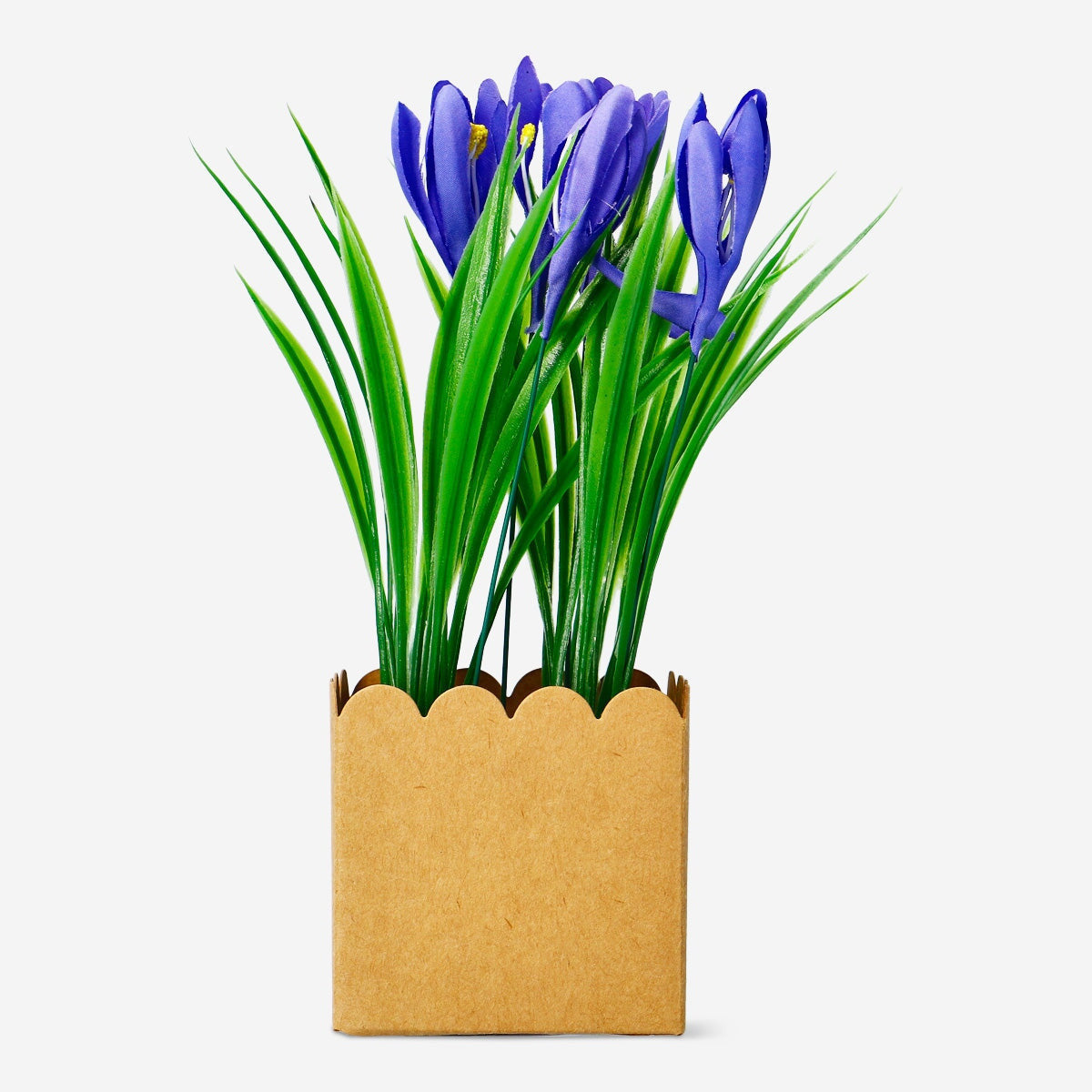 Dekorativ blomst