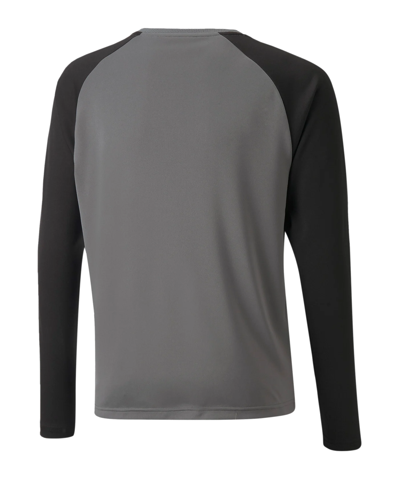 PUMA teamPACER Torwarttrikot langarm Kids F43