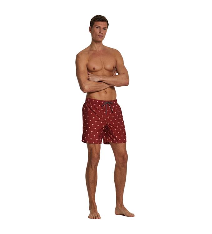 men swimshort scratched shiwi palm