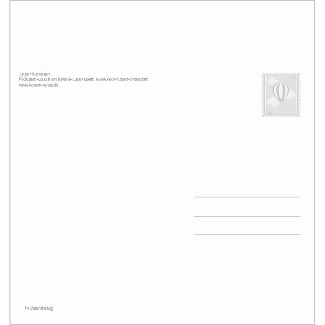 Postkartenkalender - 2025 - Schmusekatzen