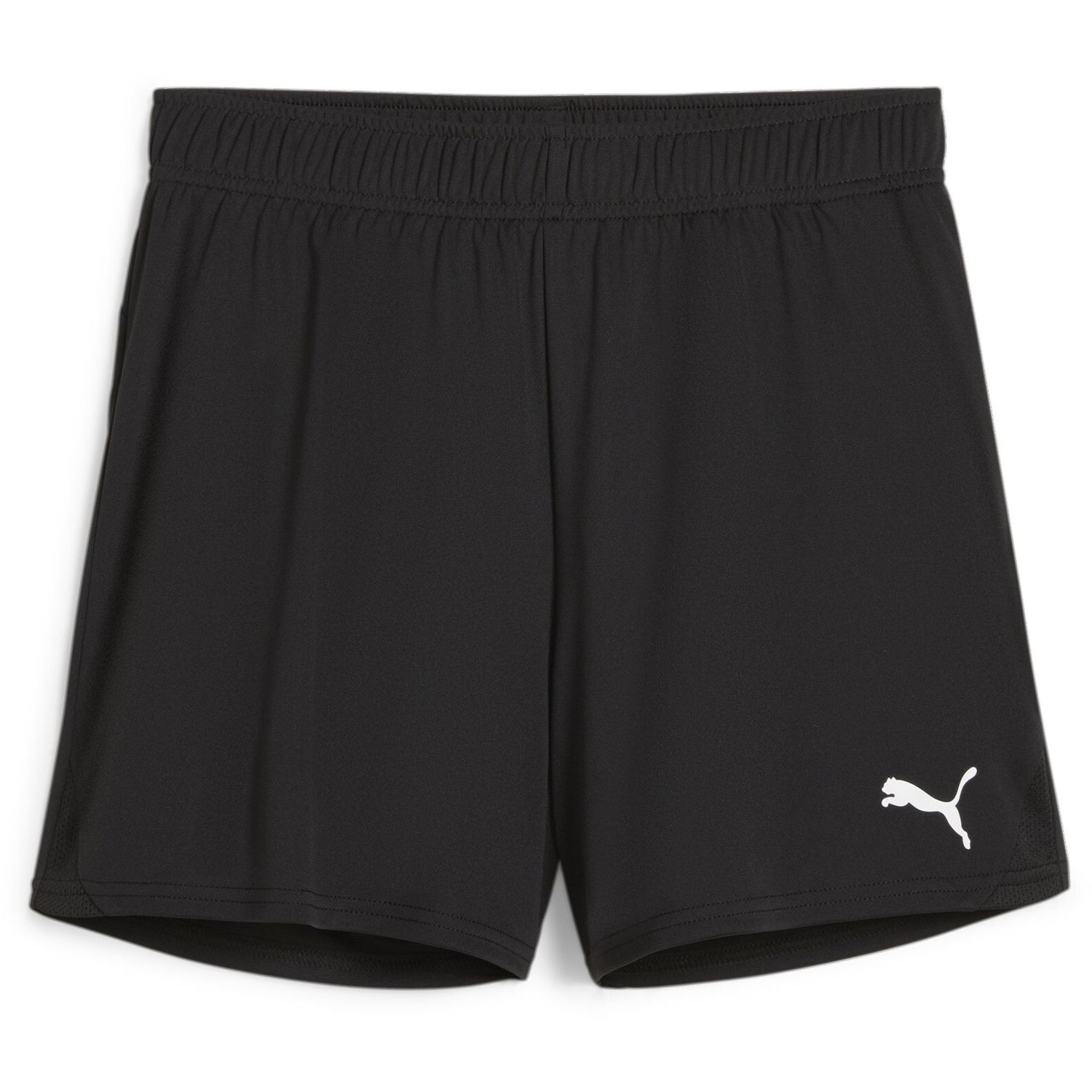 Puma TeamGoal Handball Shorts Women