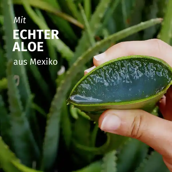 Pflegespülung Feuchtigkeit Aloe Vera