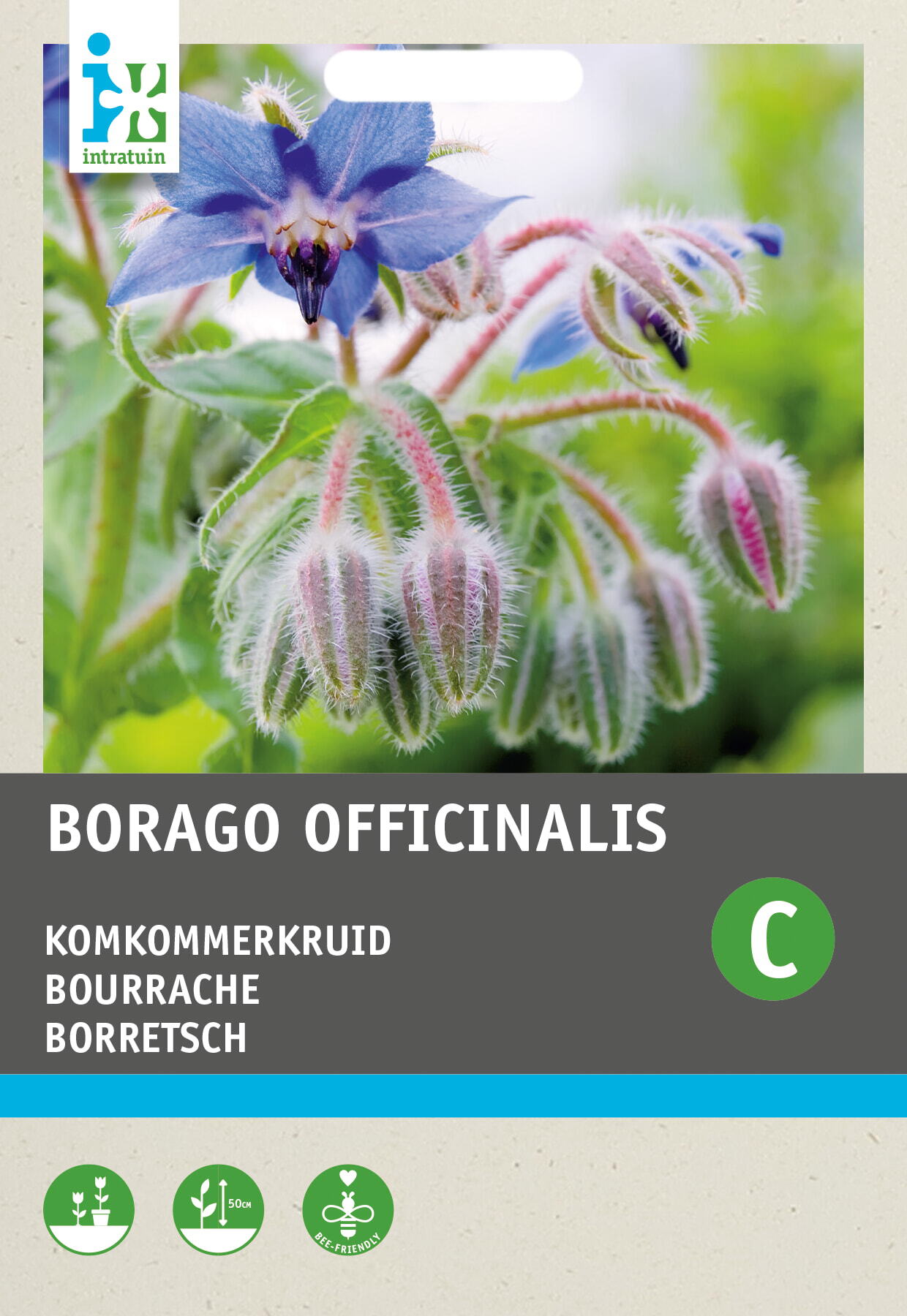 Intratuin groentezaad Komkommerkruid (Borago officinalis)